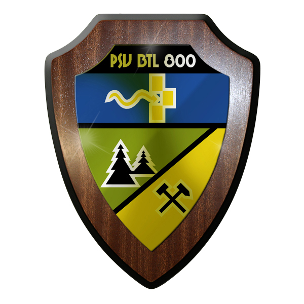 Wappenschild- PSV Btl 800 Psychologische Verteidigung Bataillon Heer #9312
