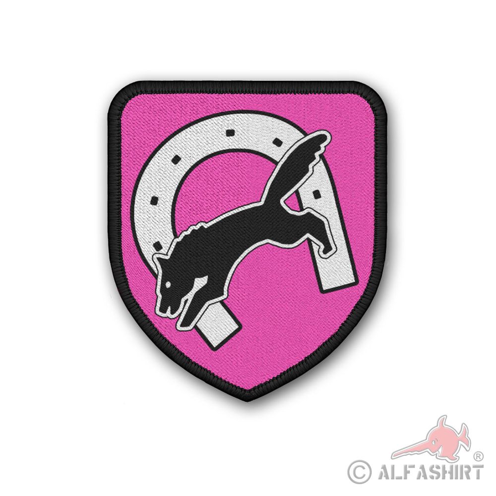 Panzerbataillon 64 PzBtl Wolfhagen Bundeswehr The Wolves Pomerania Barracks # 38640