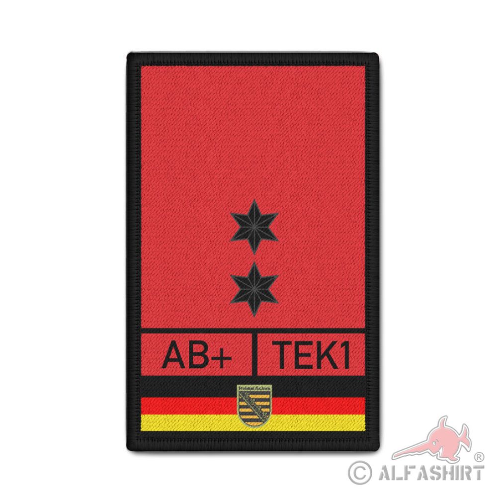 Rank patch Oberbrandmeister Sachsen professional fire brigade service degree badge #39210