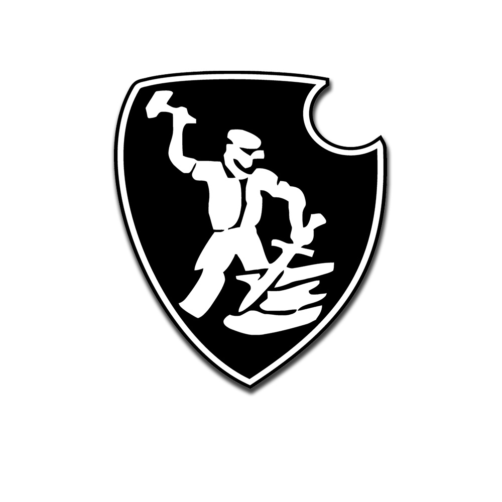 sPzAbt 507 Heavy tank division Tiger tank sticker 14x12cm # A5405