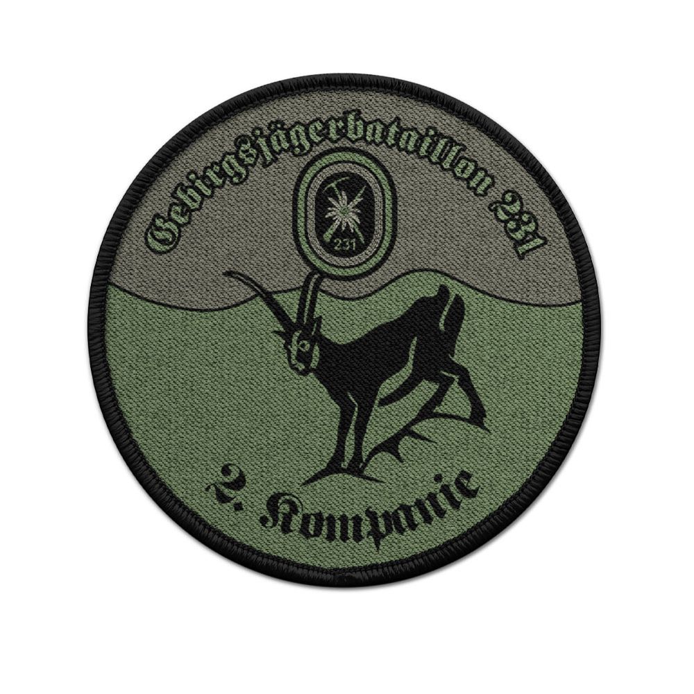 Patch Gebirgsjägerbataillon 231 2 Kompanie Gams Berge Gebirgsjäger Bundeswehr Edelweiss Abzeichen #46543