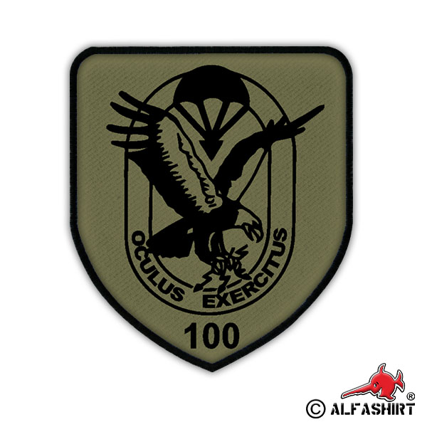 FSK 100 FeSpähKp Fernspähkompanie BW Wappen Abzeichen Fernspäher Aufnäher #17080