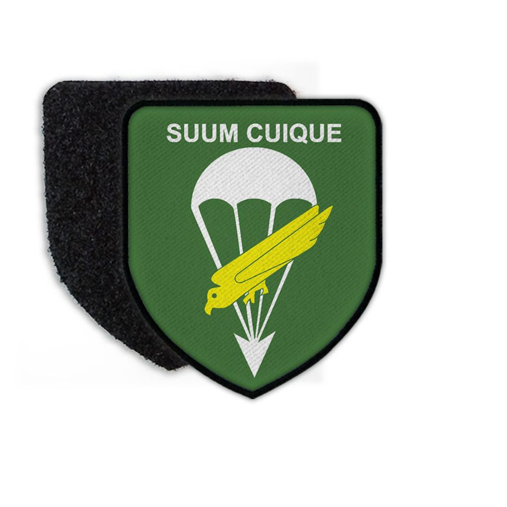 Patch FschJgBtl 262 Fallschirmjägerbataillon Fallschirmpanzerabwehr #23179