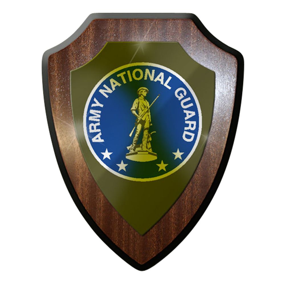 Coat of Arms / Wall Shield - Army National Guard US National Guard Unit #6910