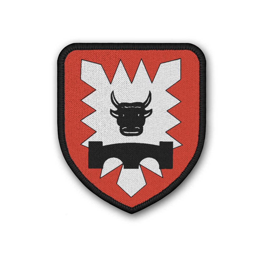 Patch PiKp 510 Pioneer Company BW Germany Unit Soldier Military # 32012