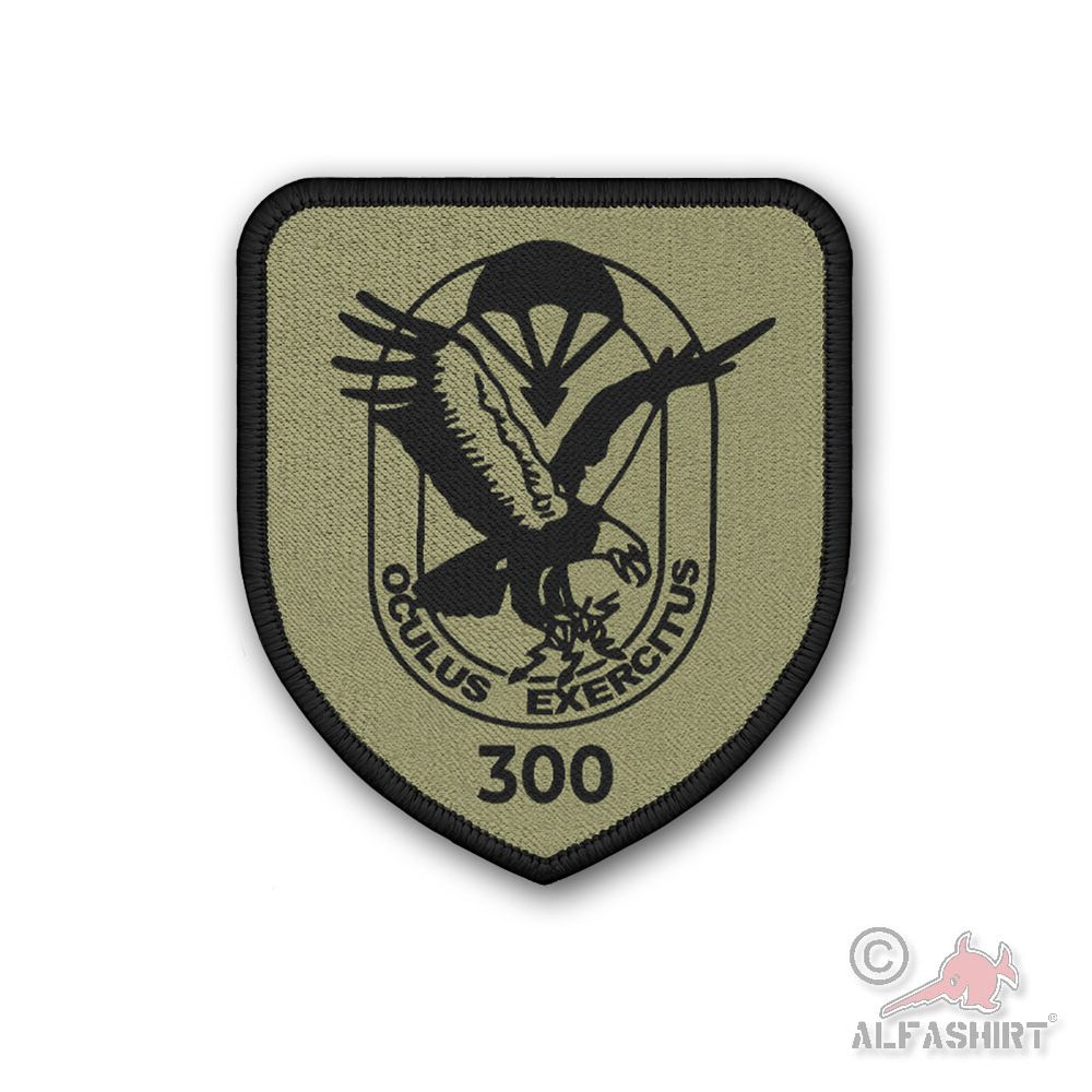Patch Fernspähkompanie 300 Fernspähtruppe Heer Späher Fritzlar #45670