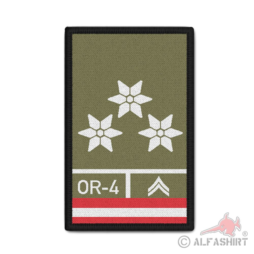 Rank Patch Bundesheer Zugsführer Zgf ZF Dienstgrad Österreich 9,8x6cm.#37101