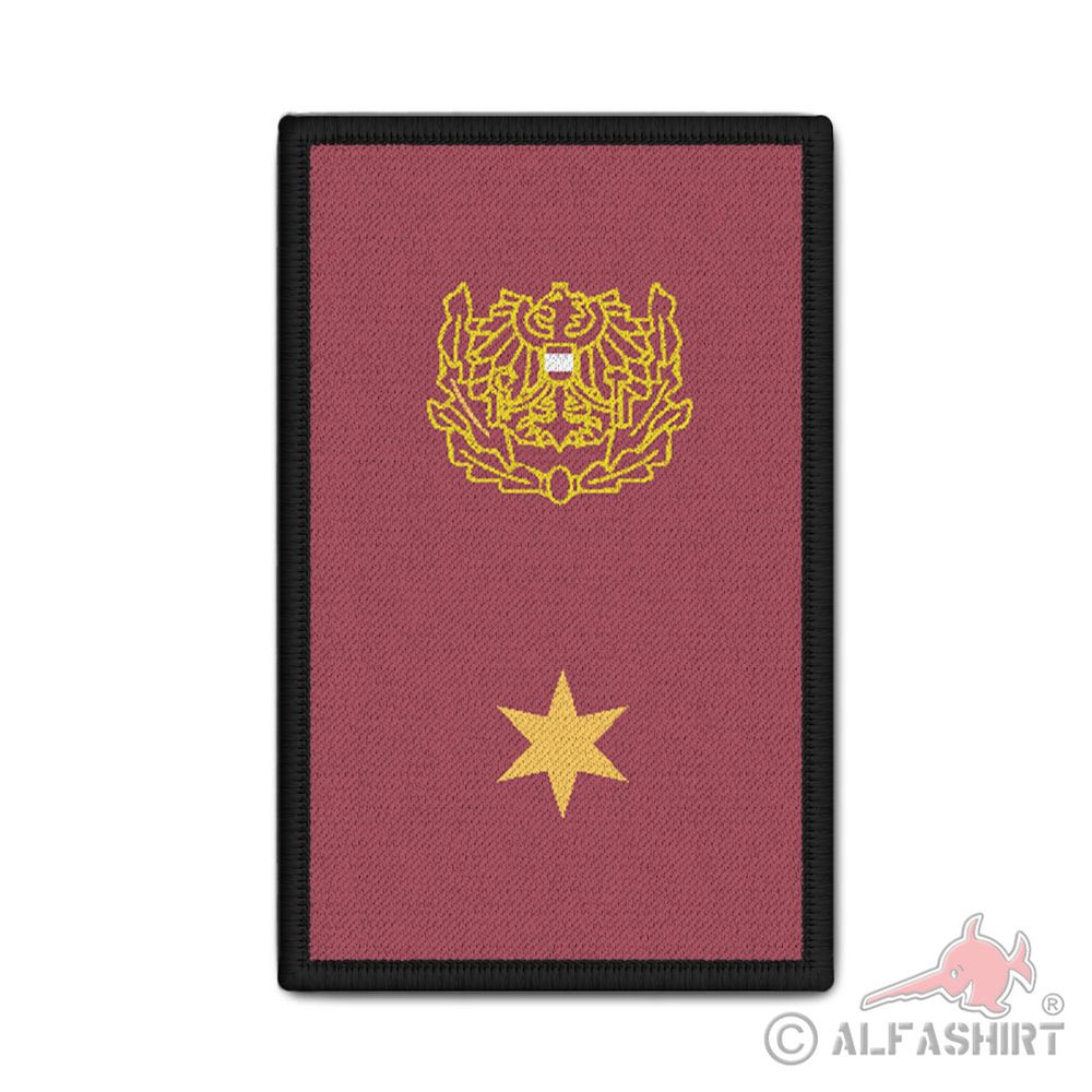 Rank Patch Polizei Österreich Leutnant (Lt) Rang Dienstrang 9,8 x 6cm#37139