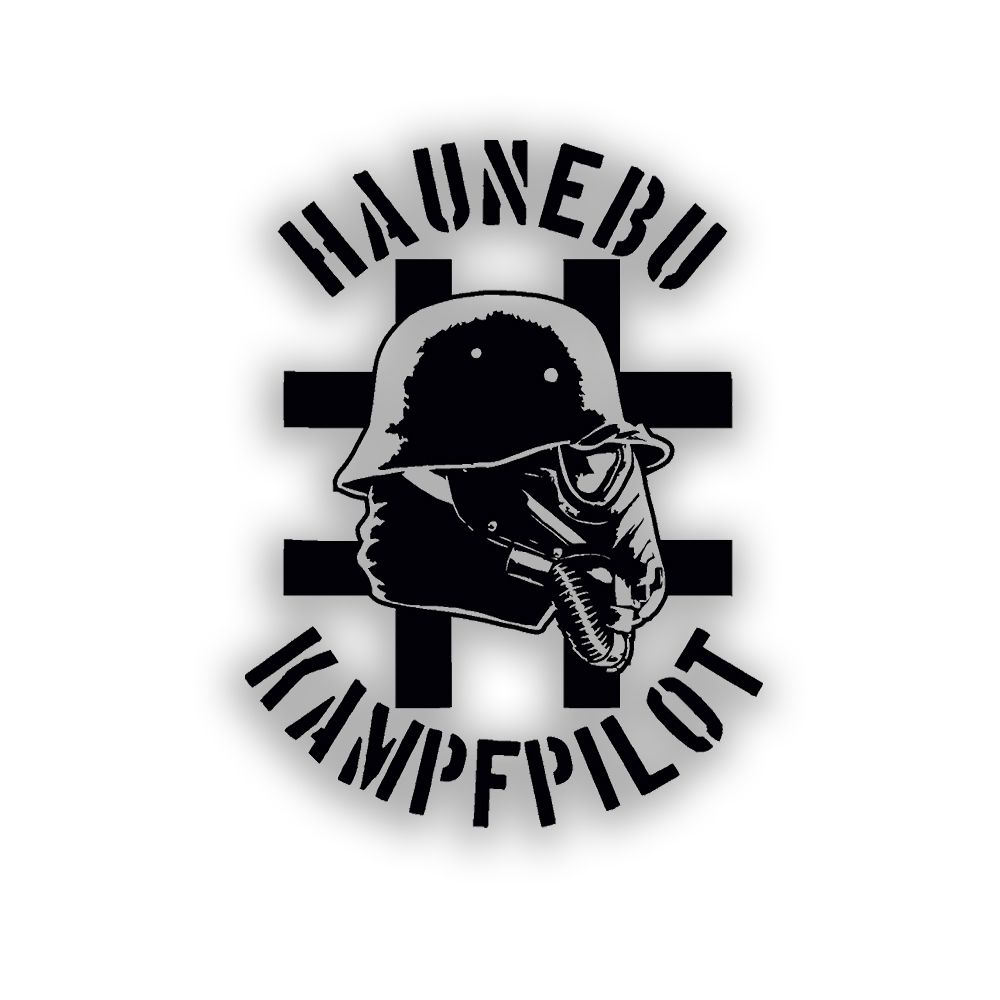 Haunebu Kampfpilot 15x20cm Aufkleber UFO Stahlhelm Luftwaffe #A232