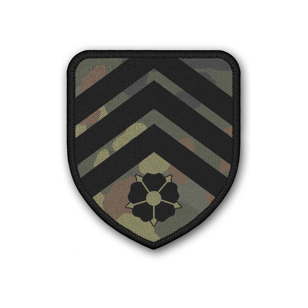 PzBtl 213 Panzerbataillon 213 Bundeswehr Tarn Patch #31348