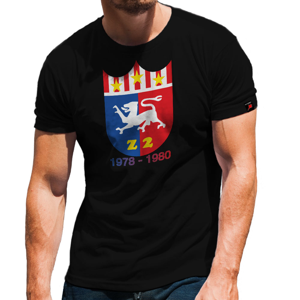 Destroyer 2 Z2 D171 Flechter Fleet Destroyer Class 119 USS T Shirt # 32027