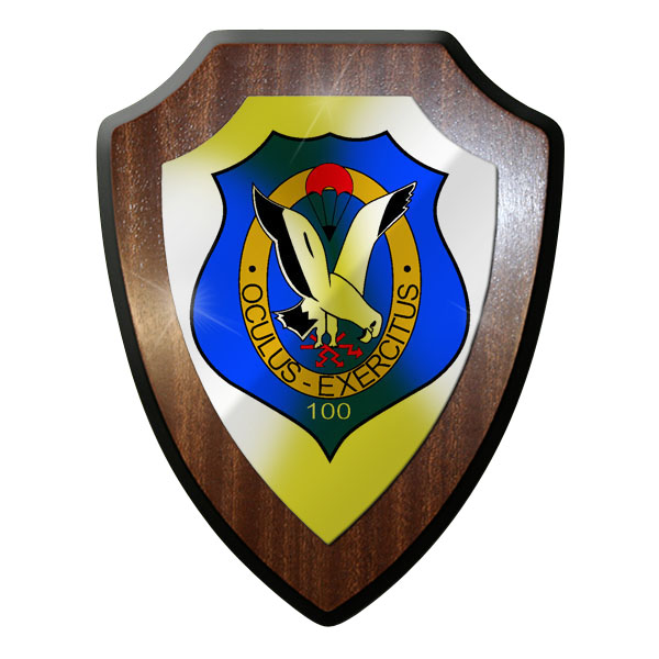 Wappenschild / Wandschild - FeSpähKp 100 Fernspäher Fernspähkompanie #9716