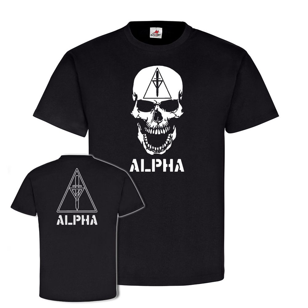 DELTA FORCE  - ALPHA Typ4 USA US Army Schädel Schwert Pyramide  #25169