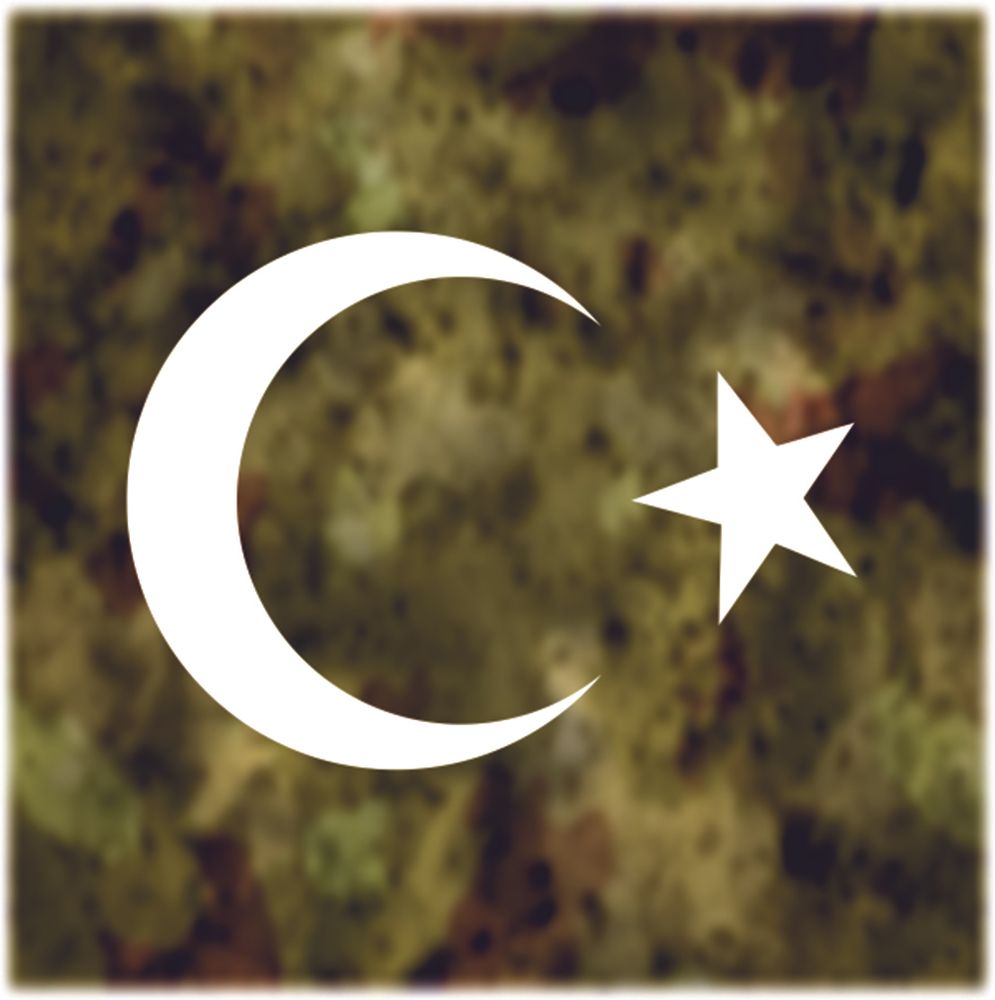 Aufkleber Sticker Türkei Halbmond Stern Türkiye Fahne Flagge 10x7cm #A095