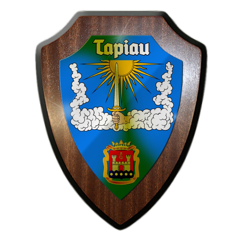 Heraldic shield Tapiau Northwestern Russia Gwardeisk souvenir home Kaliningrad # 31118