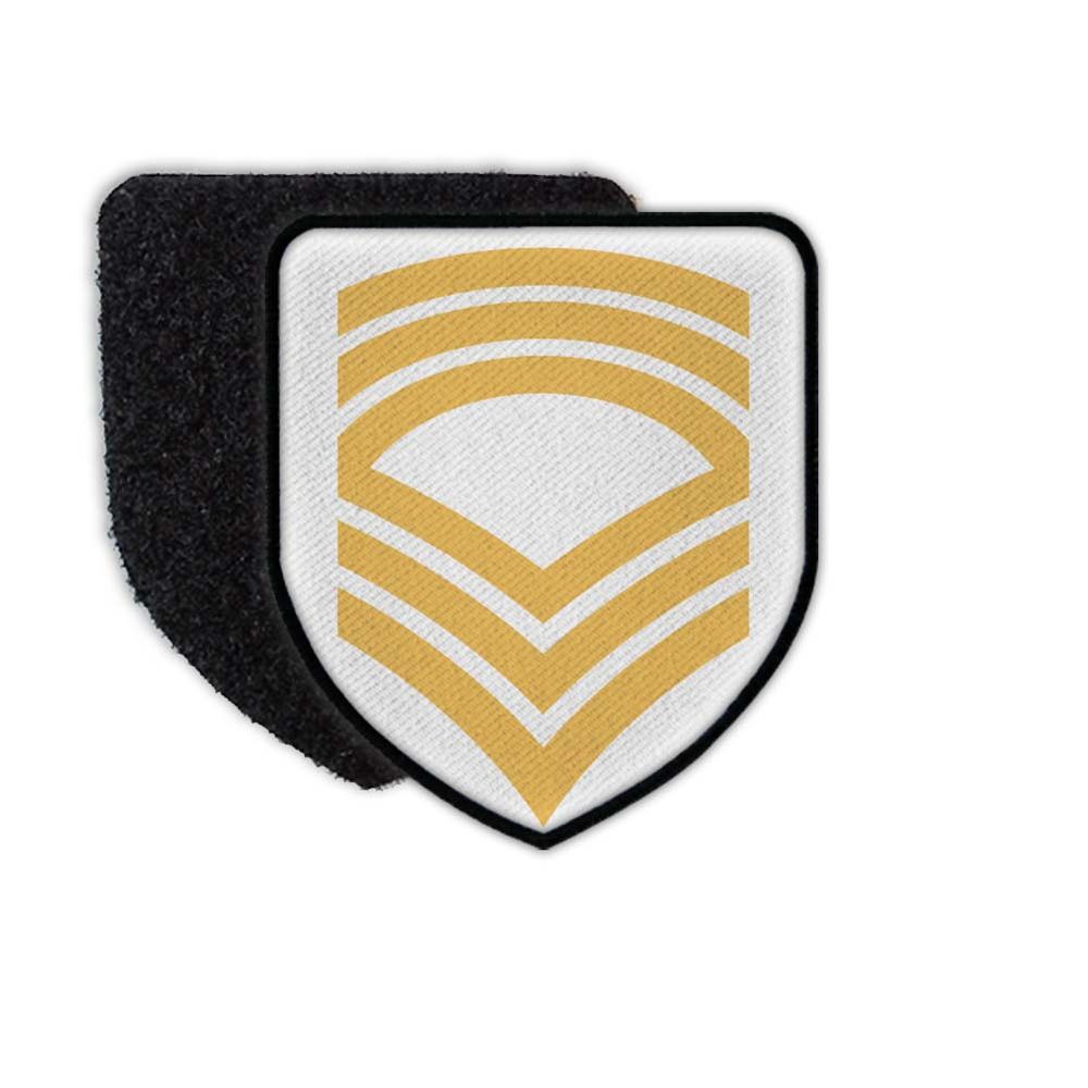 Patch Master Sergeant Militär Dienstgrad Unteroffizierslaufbahn Army MSG #31031