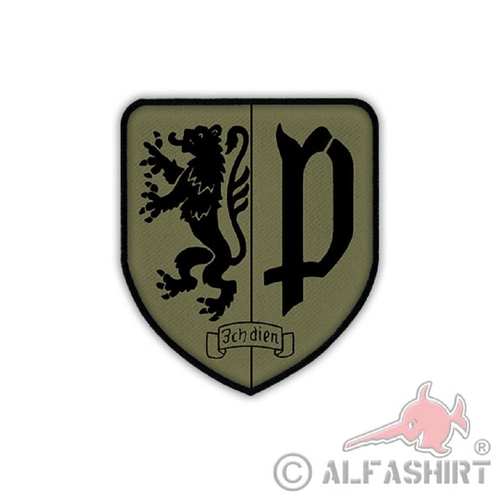 Patch Aufnäher PzBtl 533 TARN Panzerbataillon Bundeswehr Militär #20165