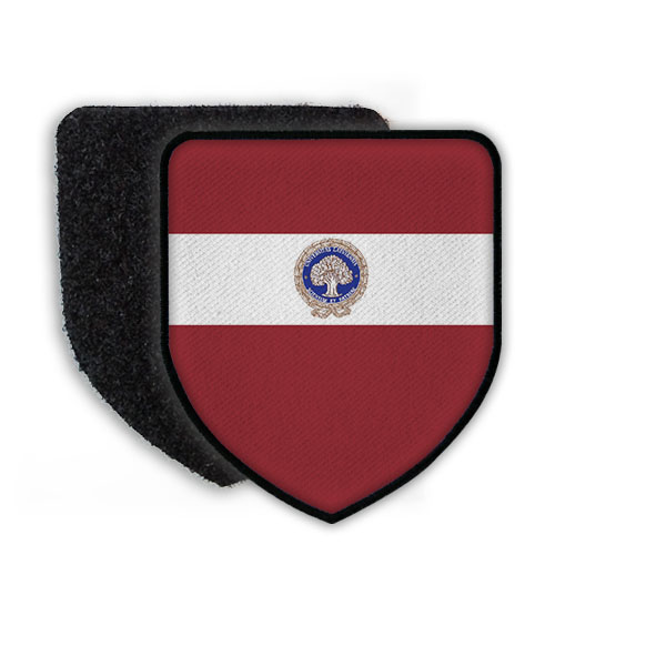 Patch Lettland Riga Raimonds Vejonis Landeswappen Flagge Löwe Sterne #21929