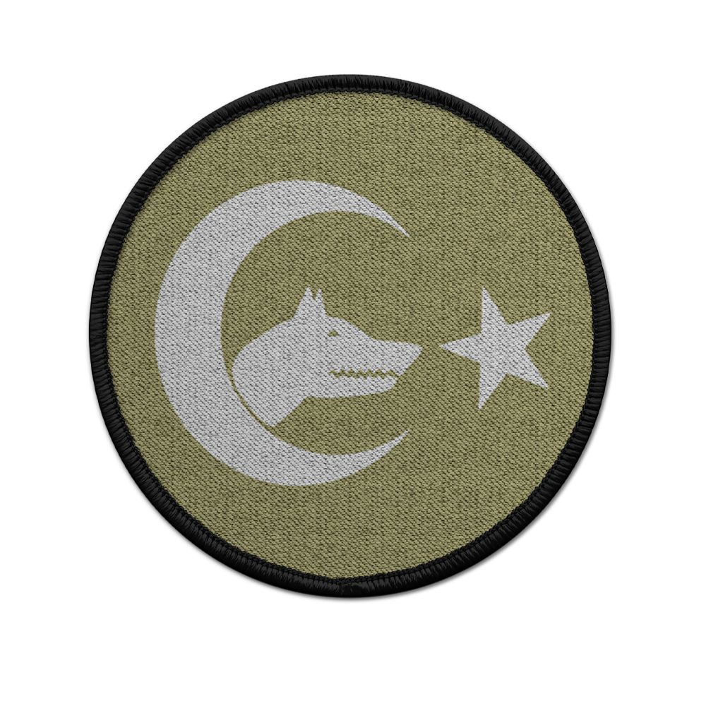 Göktürkçe Türk V4 Typ 2  Patch Türkischer Wolf Army Aufnäher Militär #22963