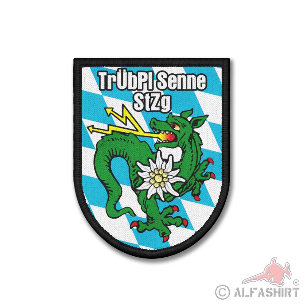 Patch TrÜbPl Senne StZg FüUstgBtl 293 Information Technology Battalion Velcro#44663