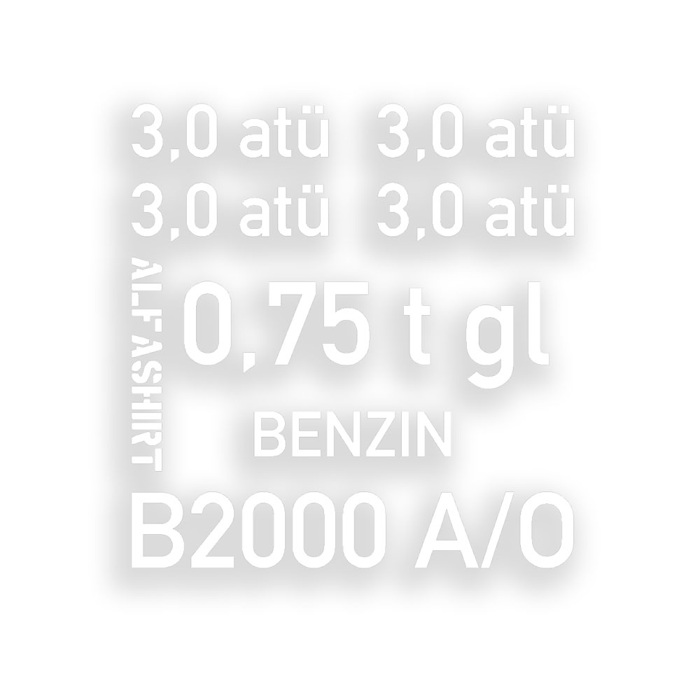 Sticker set for Borgward B2000 bucket tire pressure 3 atü 0,75t 16x17cm # A4763