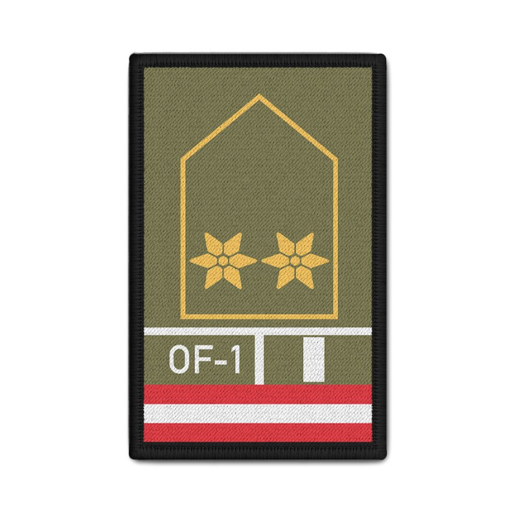 Rank Patch Bundesheer Oberleutnant Österreich Militär Uniform 9,8 x 6cm#37109