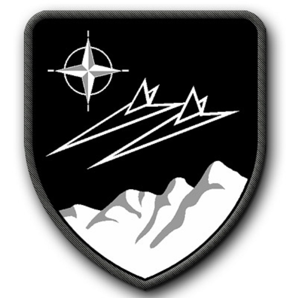 Patch PzGrenBtl 82 Typ 2 Panzergrenadierbataillon Wappen Abzeichen #3728