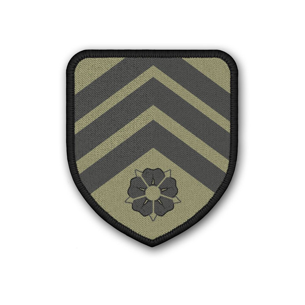 Patch Aufnäher PzBtl 213 TARN Panzerbataillon Bundeswehr Kompanie Einheit #20319