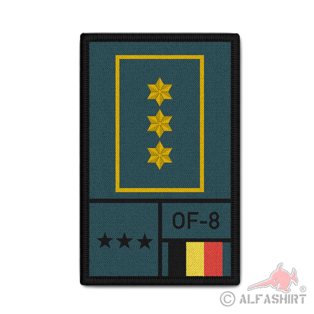 Rank Lieutenant-général Luitenant-generaal Armée belge Belgian #44244