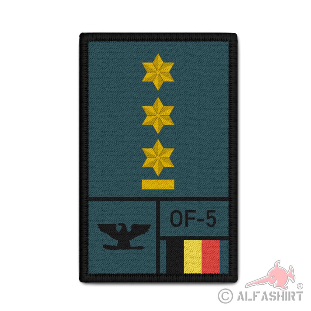 Rank Colonel Kolonel Armée belge Belgian leger Army Belgium NATO OF5#44241