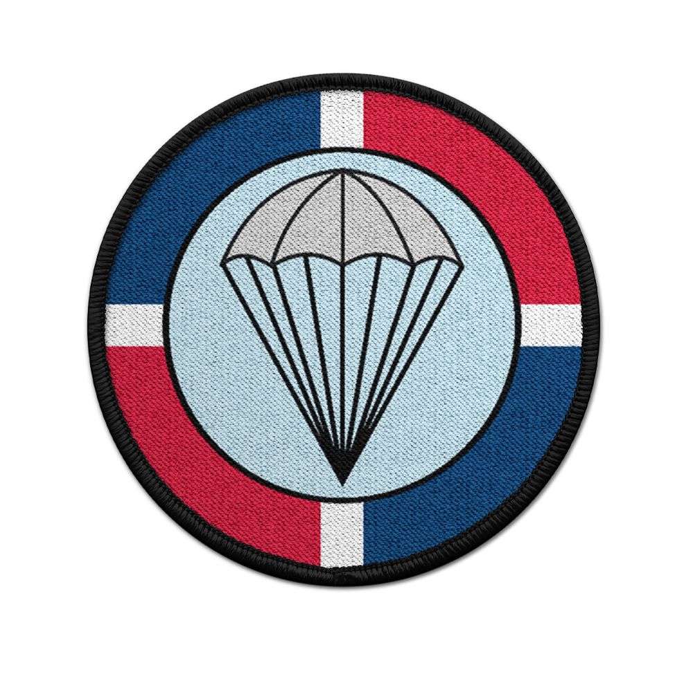 Patch Comando de Fuerzas Especiales special unit Fuerza Aérea # 33722