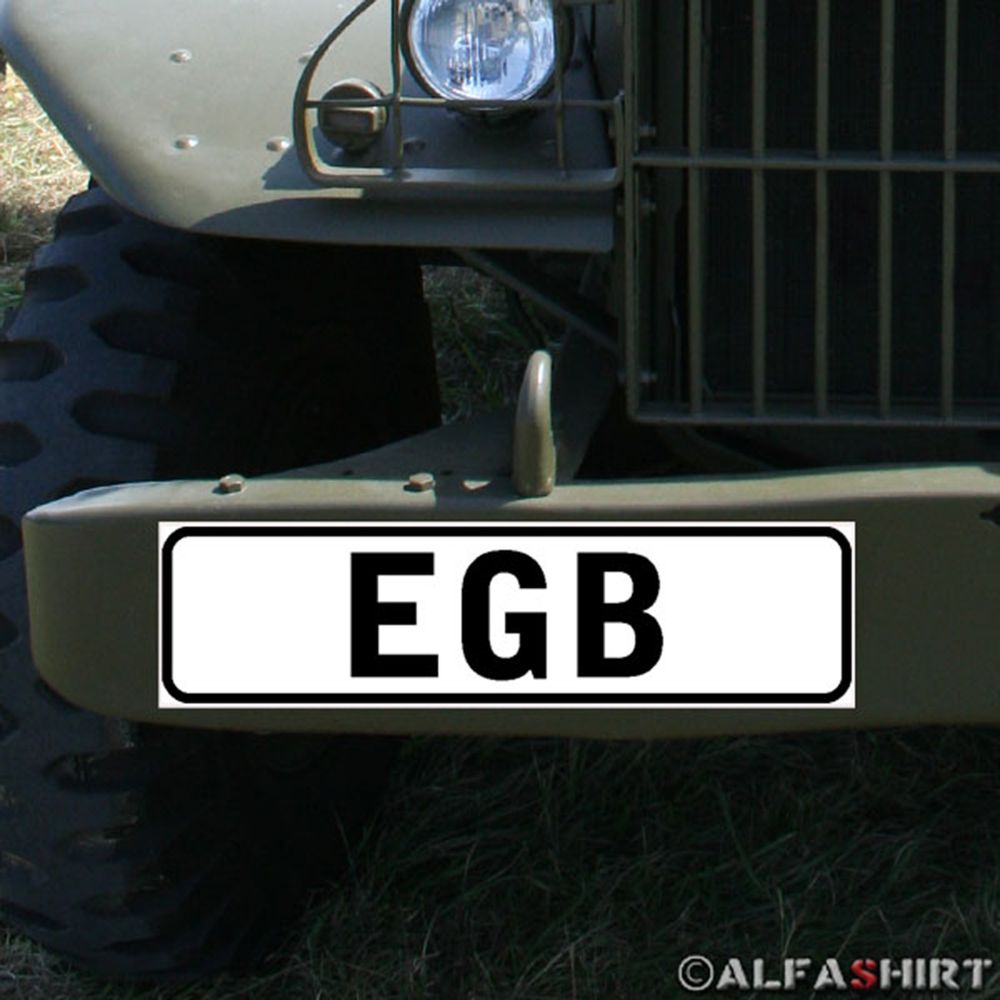 Magnetic Shield EGB Advanced Basic Qualification Elite Ranger Paratrooper # A333