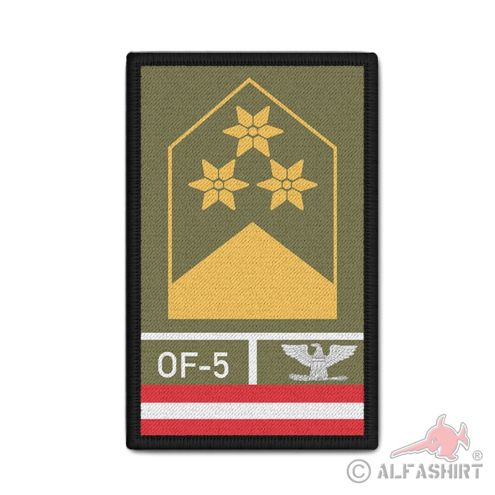 Rank Patch Bundesheer Oberst Dienstgrad Österreich 9,8 x 6cm#37113