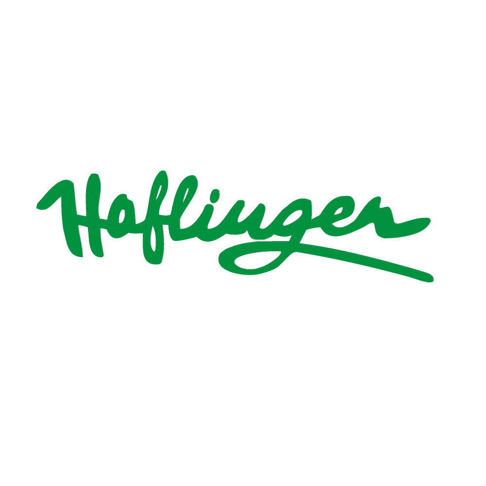 Haflinger Schriftzug Oldtimer Aufkleber passend für Steyr Puch 20x6cm 5,90 A318