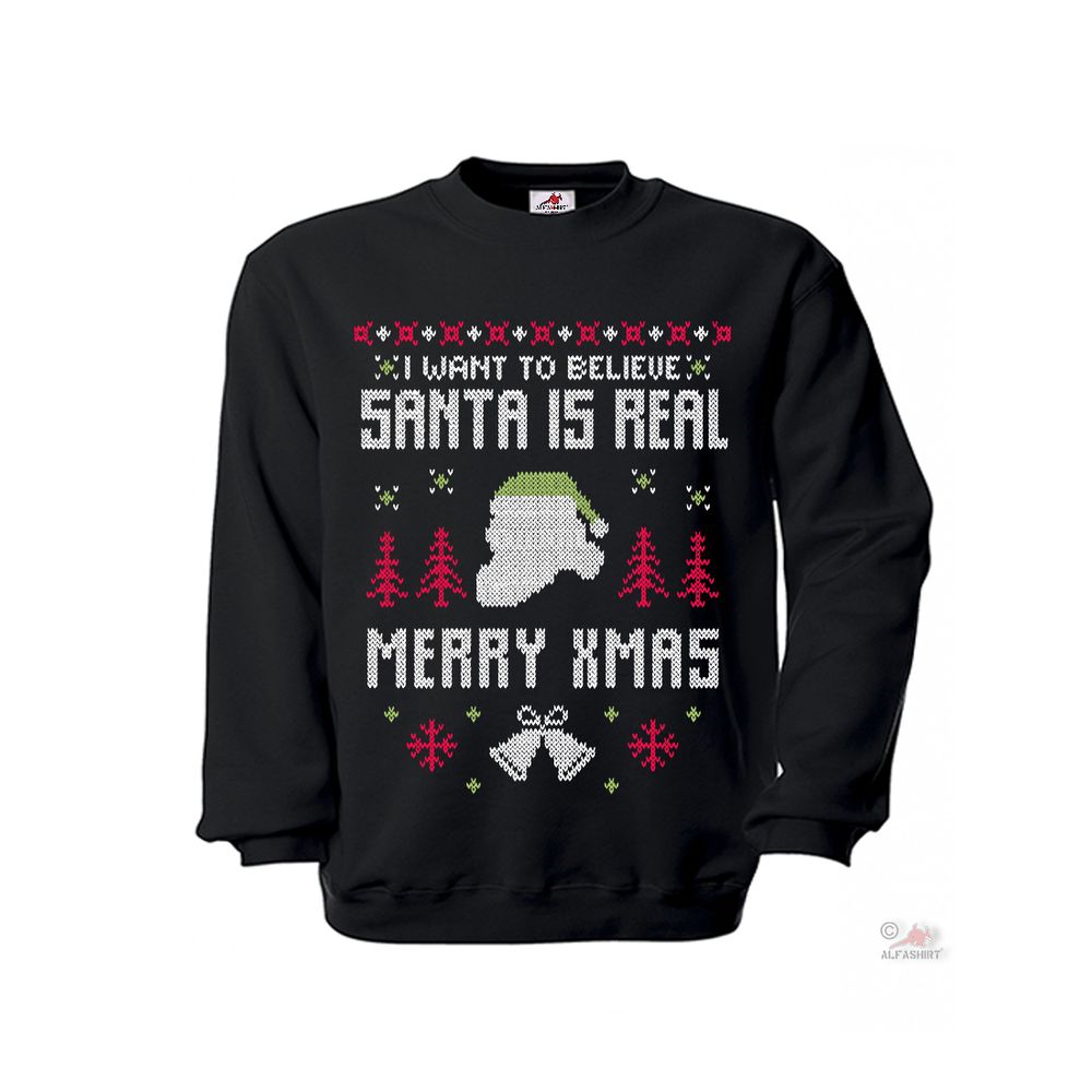 Pullover I want to Believe Sanata Is Real Merry Xmas Weihnachten Pulli #35831