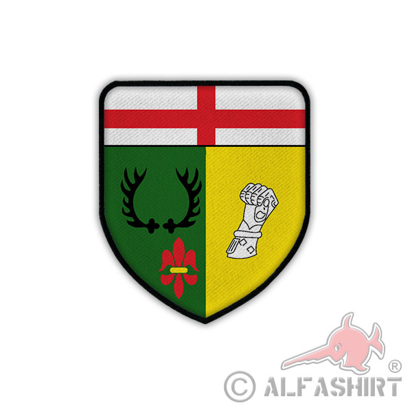 Patch PzBtl 543 Tank Battalion Hermeskeil Emblem Badges # 17871