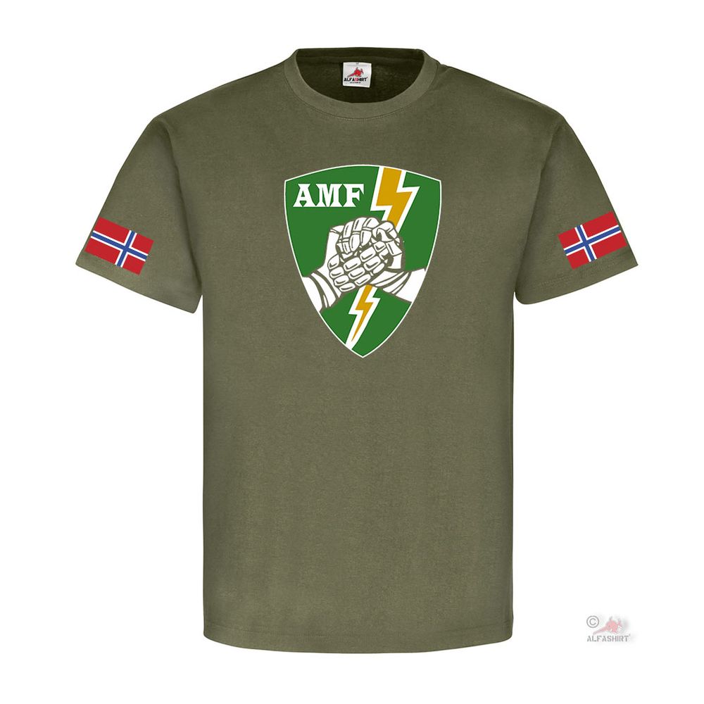 AMF Norway ACE Mobile Force Flag Shoulder Military Unit Norwegen #23095