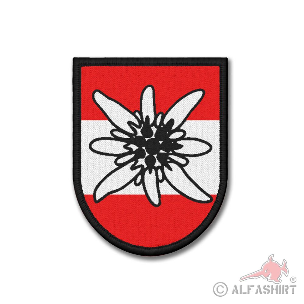 Rank Patch Bundesheer 6th Mountain Brigade Bundesheer Unit Uniform # 37199