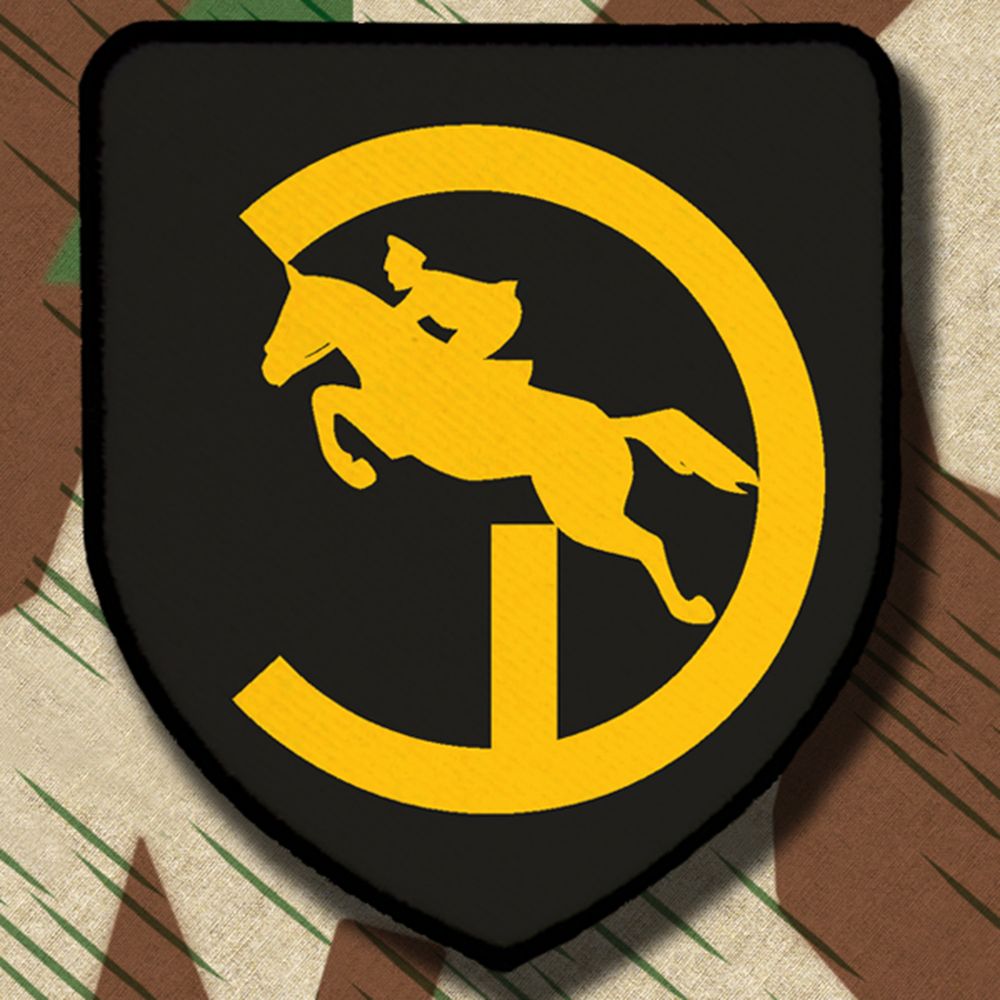 Patch / Aufnäher - 24PzDiv Panzer Division Einheit #4925