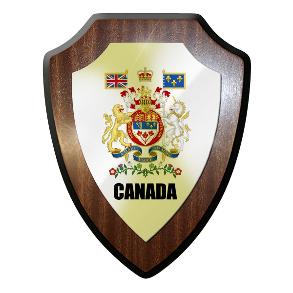 Heraldic shield / Wall shield / Crests - Army reconnaissance detachment 10 DRA # 11912