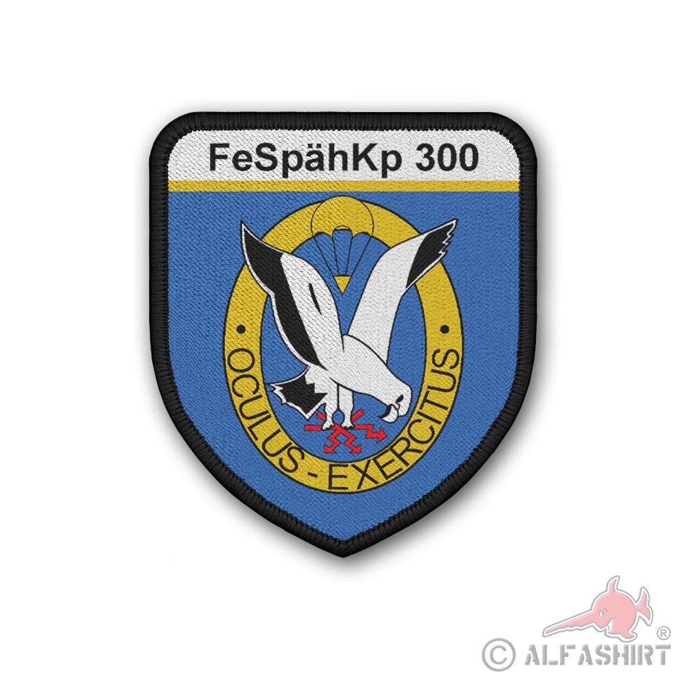 Patch Fernspähkompanie 300 Verband FeSpähKp Fritzlar KSK Bundeswehr #44078