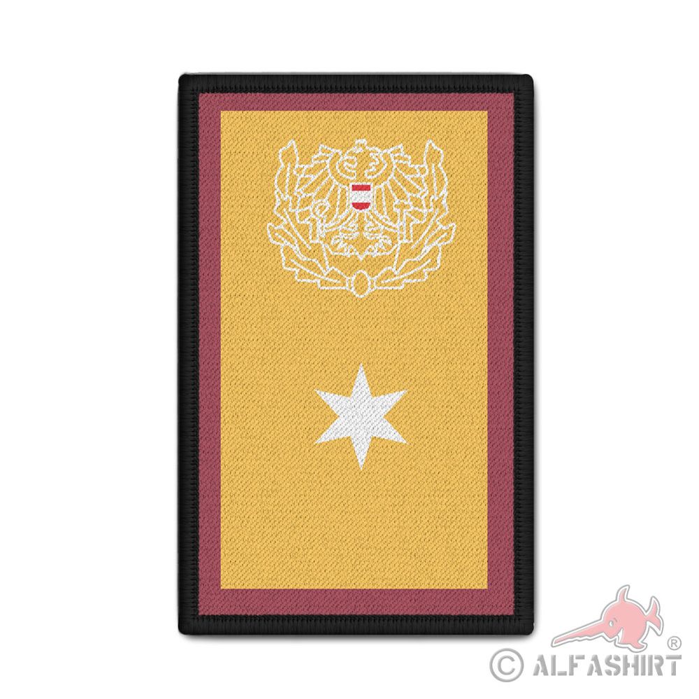 Rank Patch Polizei Österreich Brigadier (Bgdr) Rang Dienstrang 9,8 x 6cm#37145