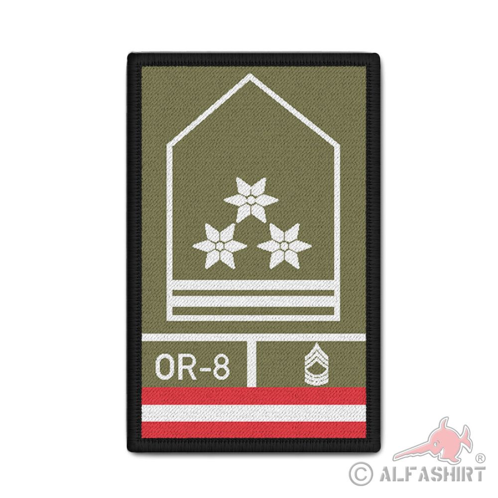 Rank Patch Bundesheer Offizierstellvertreter Österreich 9,8 x 6cm#37106