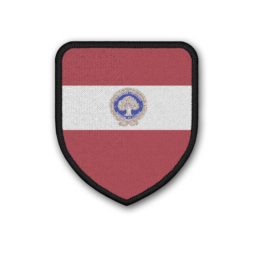 Patch Latvia Riga Raimonds Vejonis National Emblem Flag Lion Stars #21929