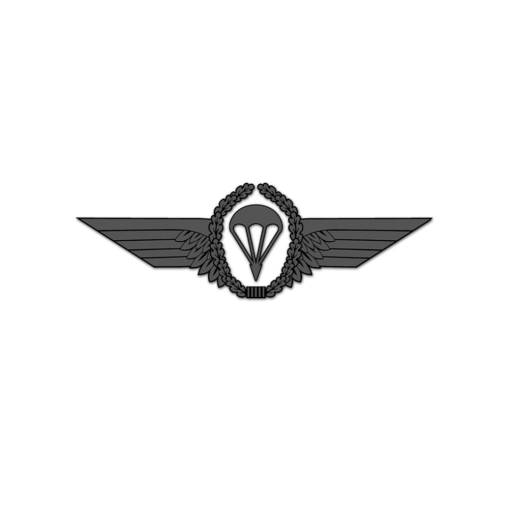 Fallschirmspringerabzeichen Bundeswehr Fallschirmjäger 11x3,5cm #A6045