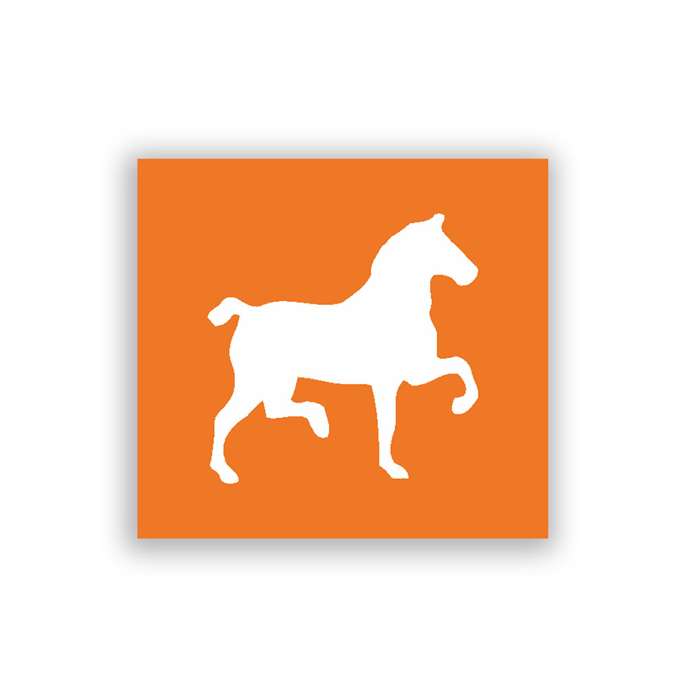 Lackierschablonen Aufkleber Pferd Typ 2 Reiten Pony Dressur Kavallerie 5x5cm A422