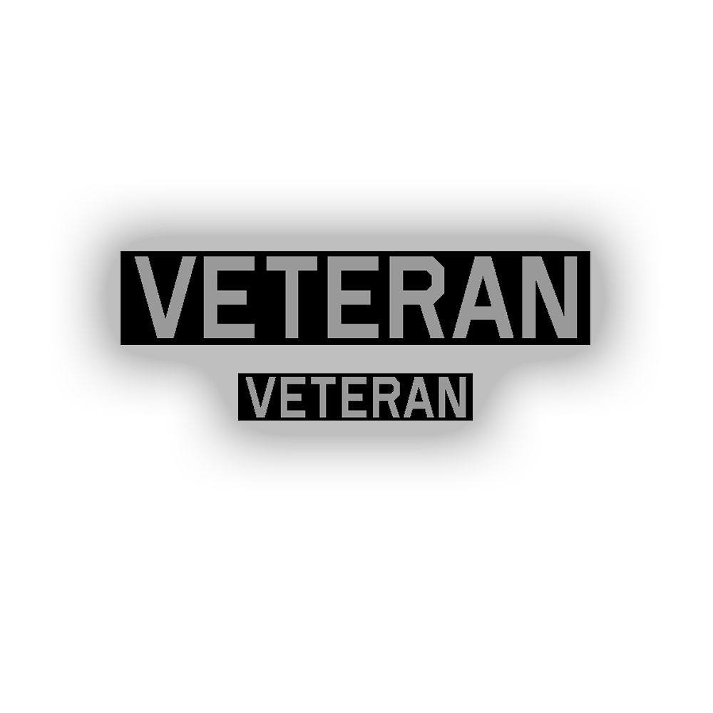 Veteran Bundeswehr BW veteran insert set 1x 10x2cm 1x 5x1cm # A5394