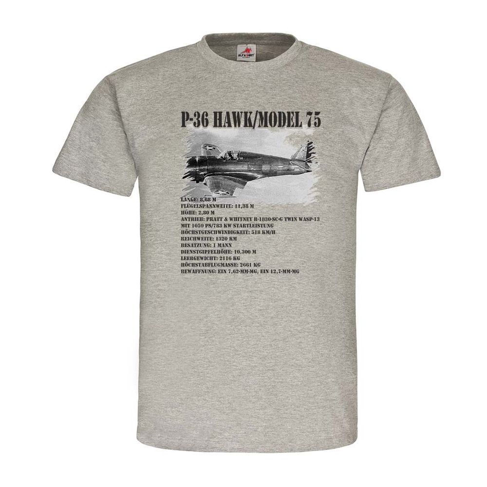 P-36 Hawk Model 75 US Army Kampfflugzeug WW2 #22861
