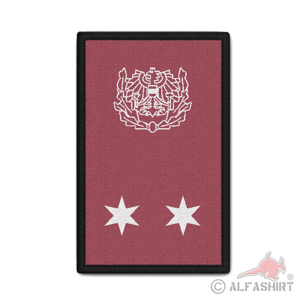 Rank Patch Polizei Österreich Revierinspektor Rang Dienstrang 9,8 x 6cm#37131