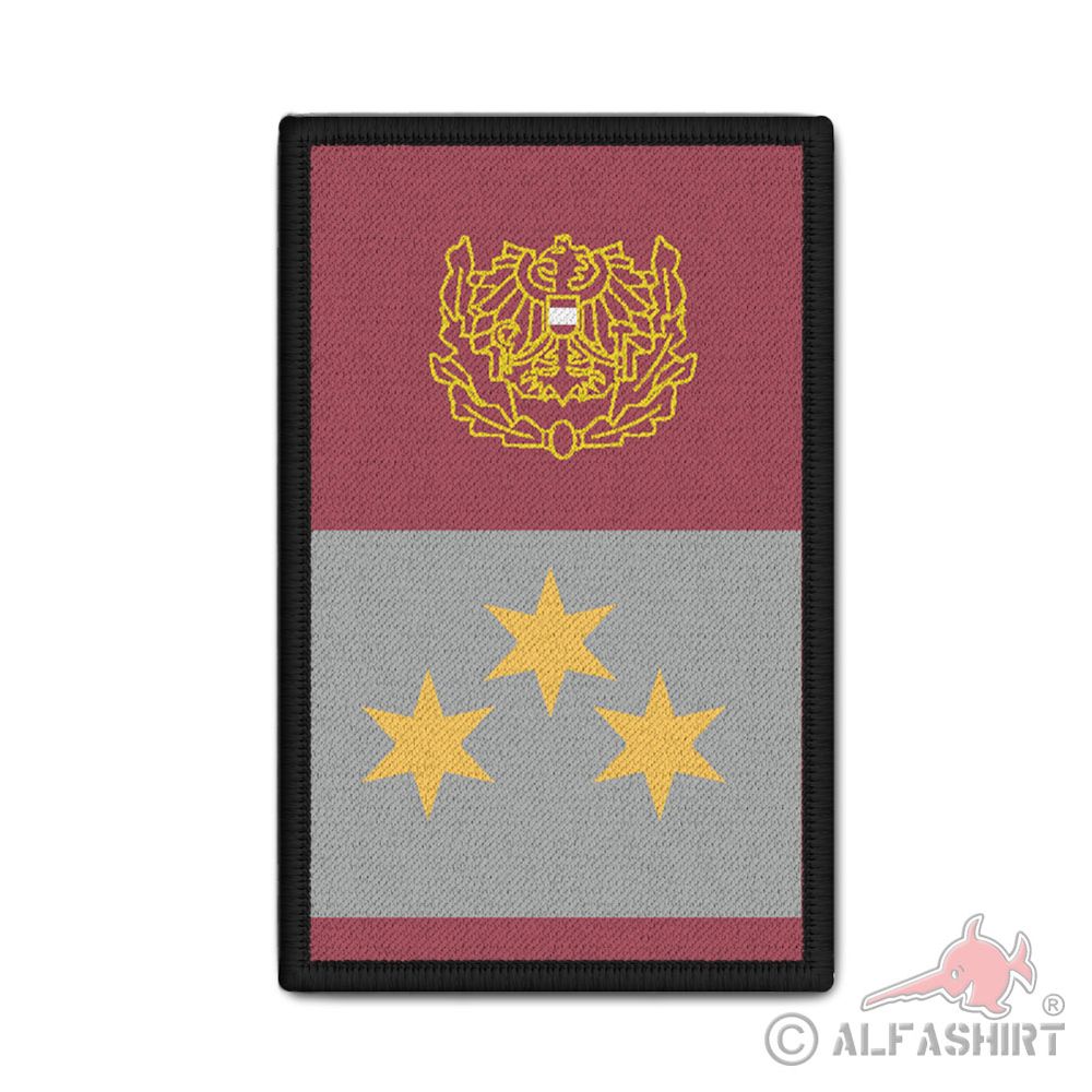 Rank Patch Polizei Österreich Bezirksinspektor Rang Dienstrang 9,8 x 6cm#37134